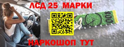СК Шебекино
