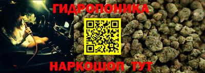 стафф Шахты