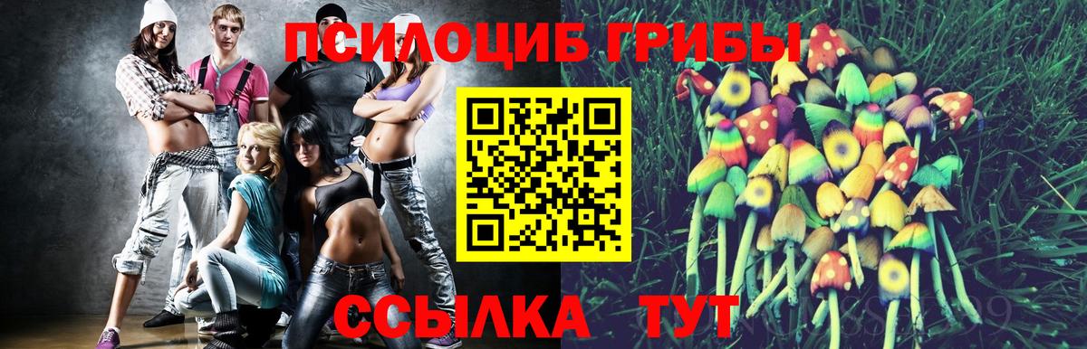 Галлюциногенные грибы Magic Shrooms  Вход с VPN  Амурск 
